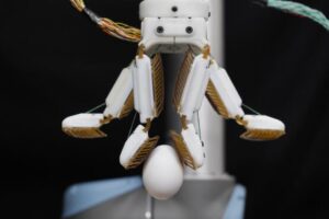Una mano robótica para sujetar objetos delicados