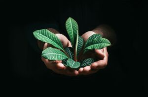 Qué tecnologías debe adoptar una empresa en 2027 para seguir siendo competitiva